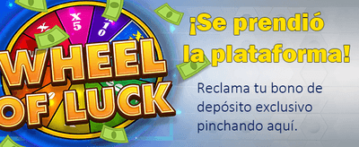 Explora la emoción del Casino